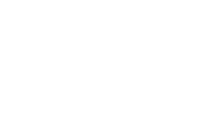 Mendittorosa